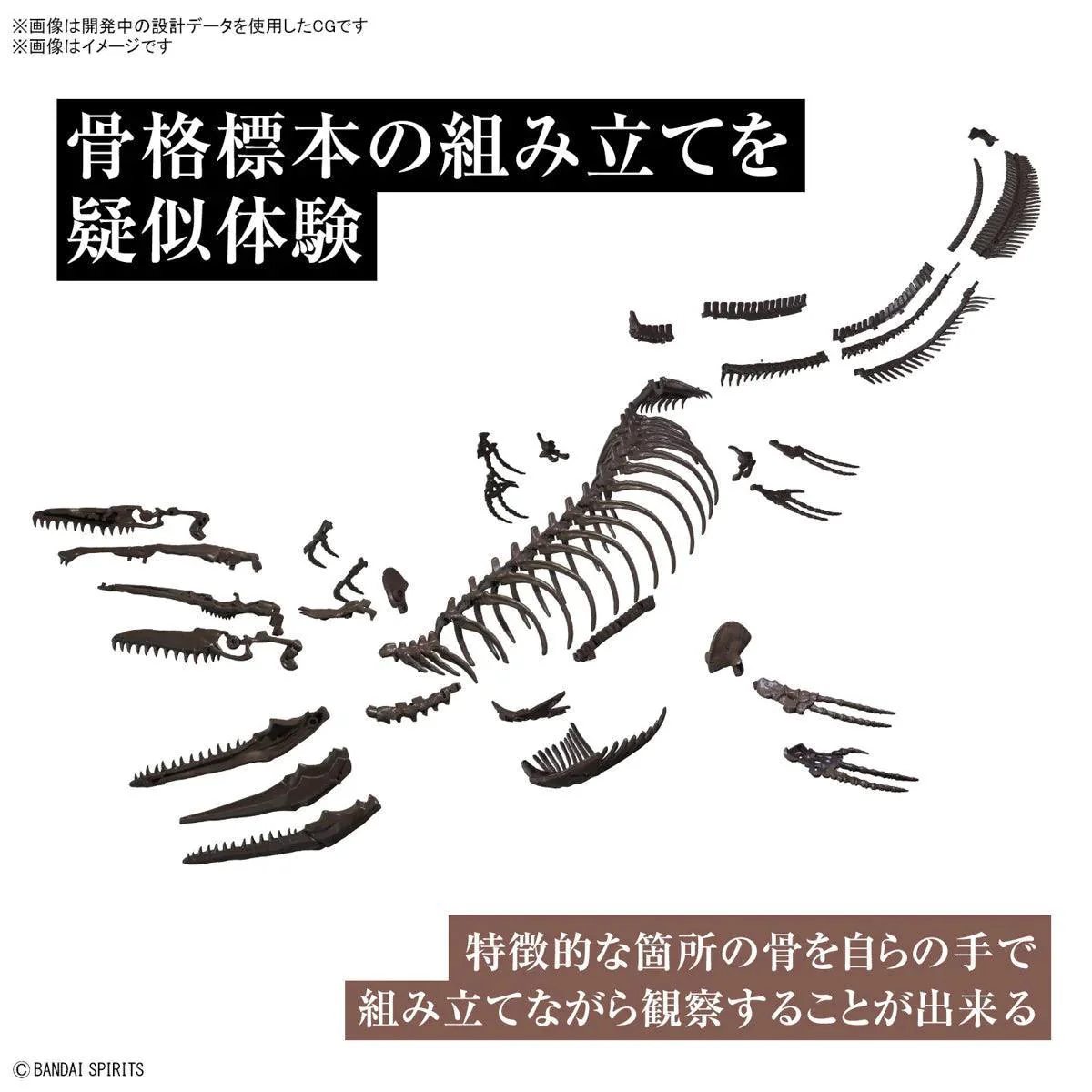 1/32 IMAGINARY SKELETON MOSASAURUS - Image 5
