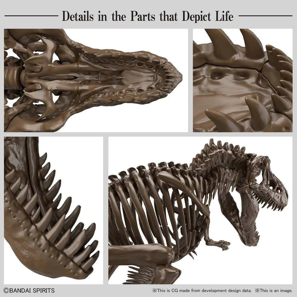 1/32 IMAGINARY SKELETON TYRANNOSAURUS - Image 3