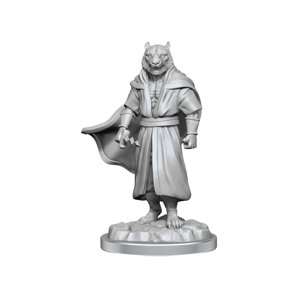 Critical Role Unpainted Miniatures Male Human Sorcerer Merchant & Tiger Demon - Image 2