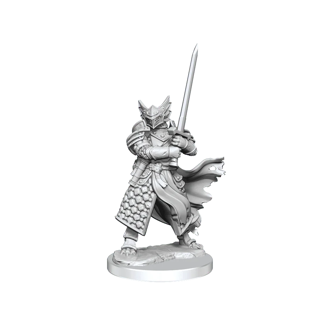 D&D Frameworks Dragonborn Paladin Male