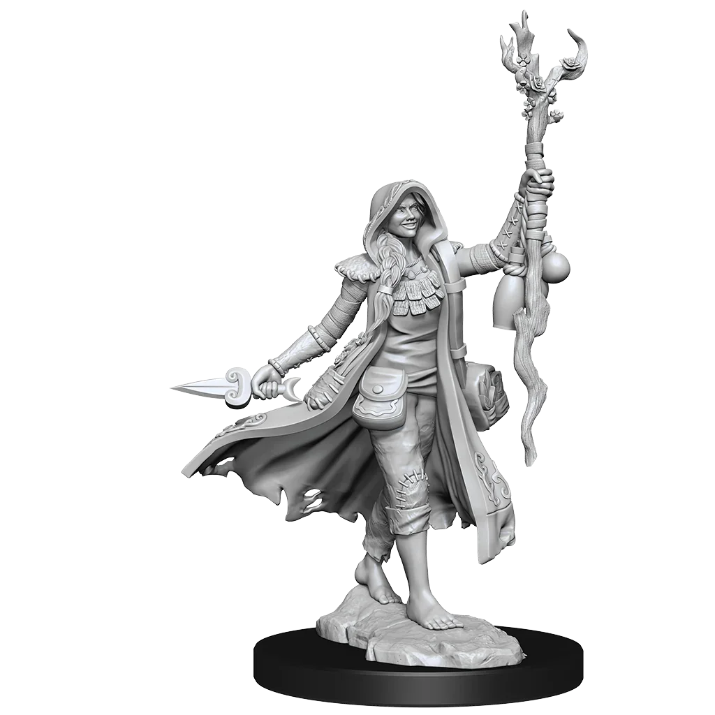 D&D Frameworks Human Druid Female - Image 2