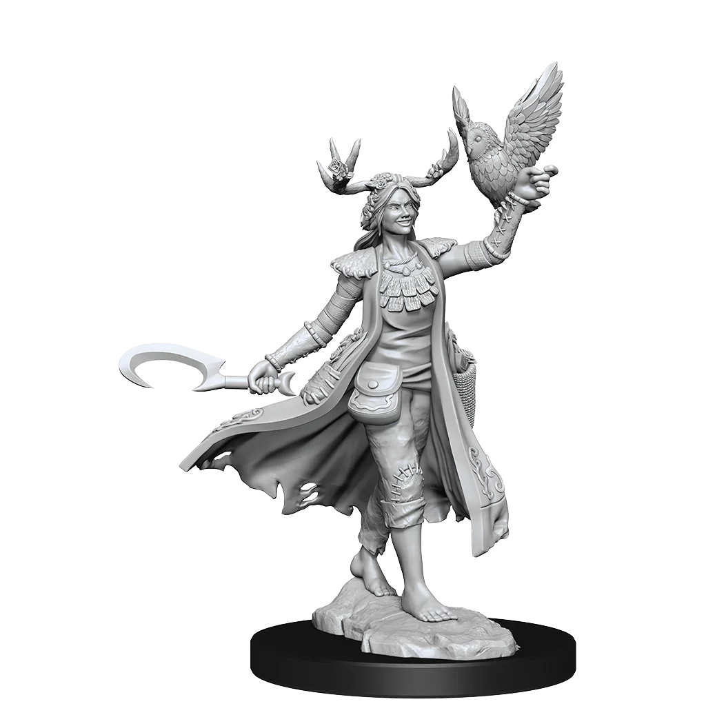 D&D Frameworks Human Druid Female - Image 3