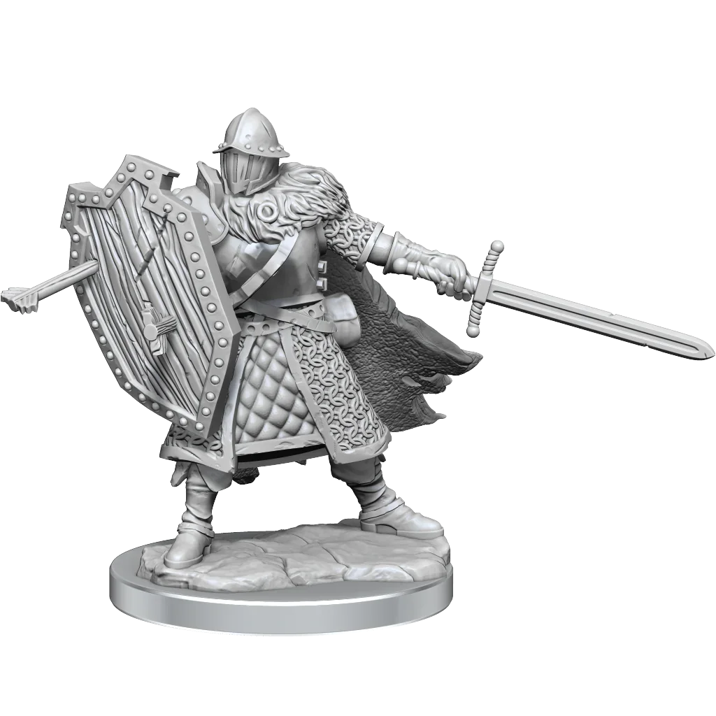 D&D Frameworks Human Male Fighter - Image 2