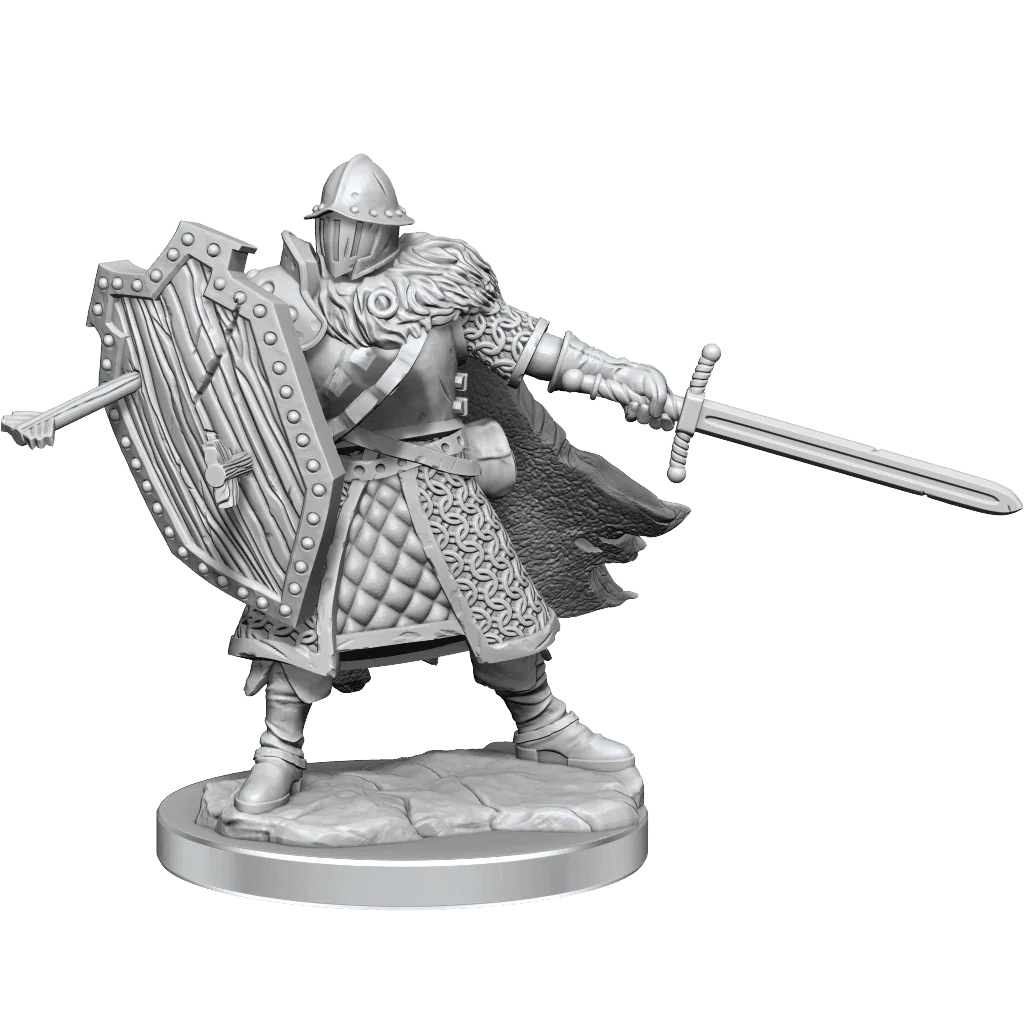 D&D Frameworks Human Male Fighter - Image 2
