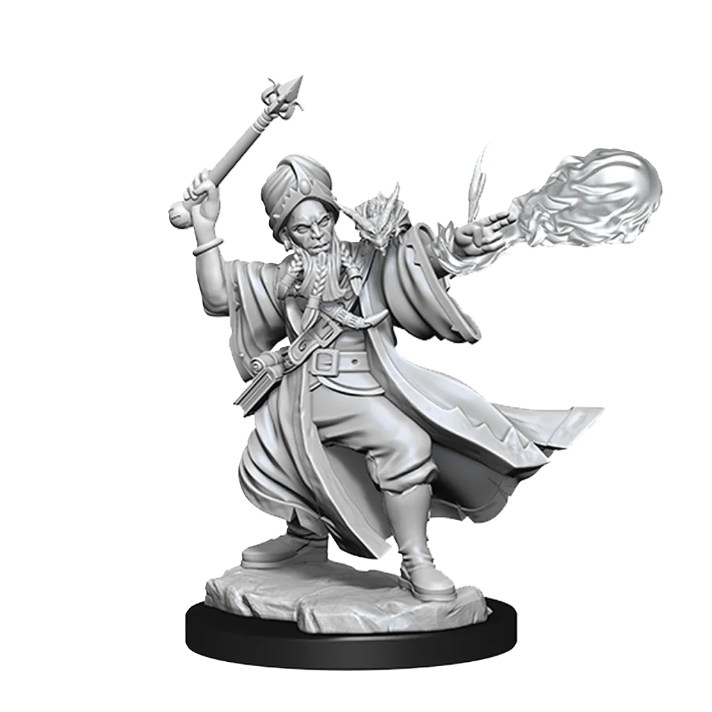 D&D Frameworks Human Wizard Male - Image 2