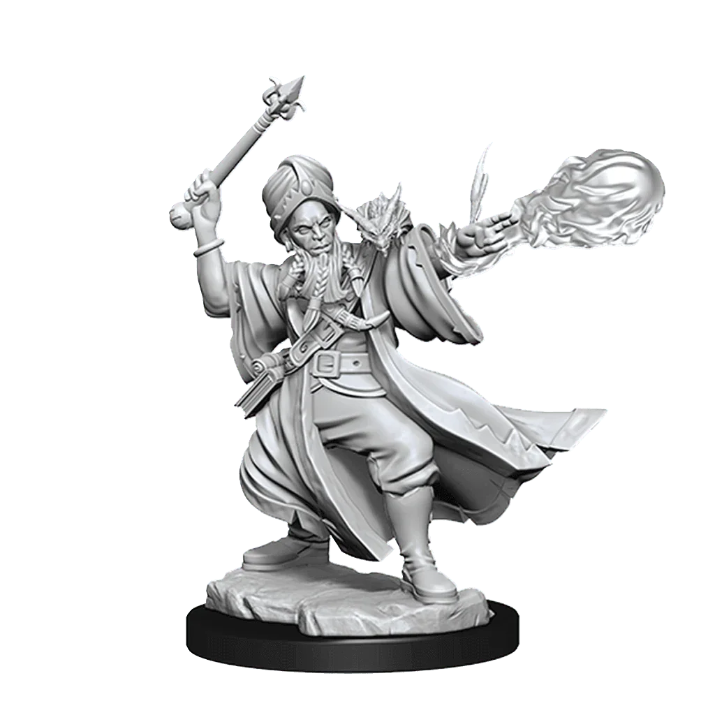 D&D Frameworks Human Wizard Male - Image 2