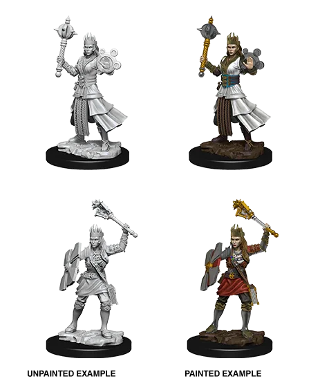 D&D Nolzurs Marvelous Unpainted Miniatures Female Human Cleric