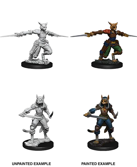 D&D Nolzurs Marvelous Unpainted Miniatures Female Tabaxi Rogue