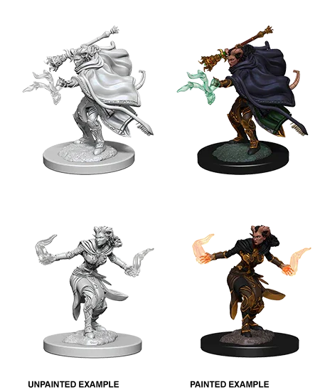 D&D Nolzurs Marvelous Unpainted Miniatures Female Tiefling Warlock