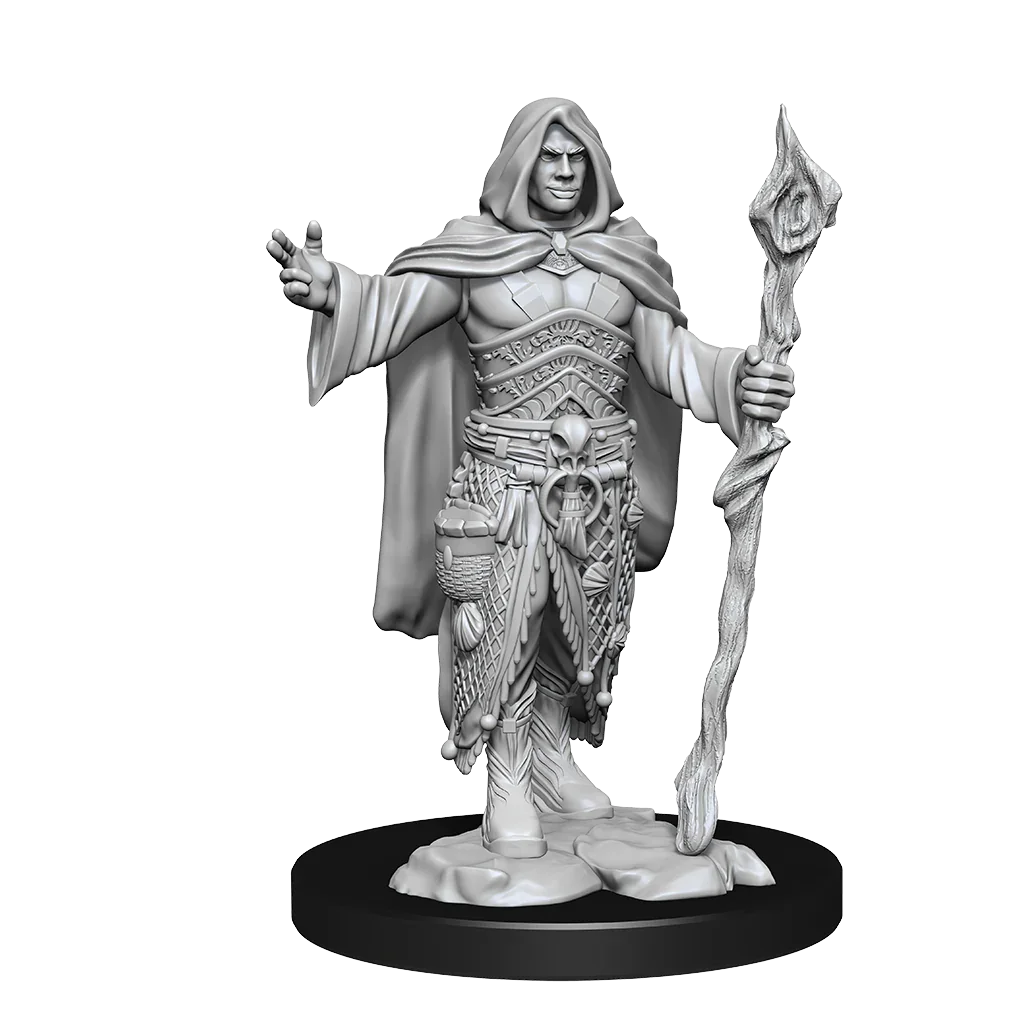 D&D Nolzurs Marvelous Unpainted Miniatures Human Druid Male