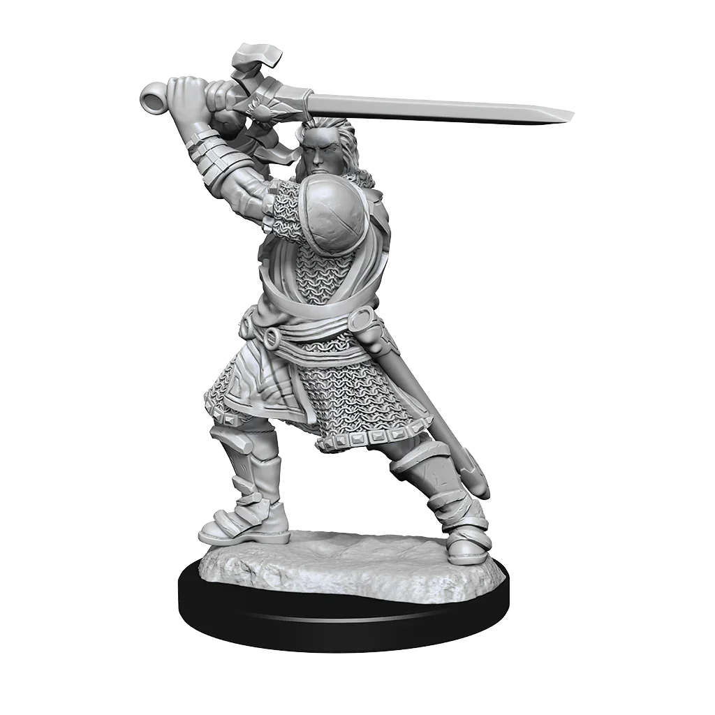 D&D Nolzurs Marvelous Unpainted Miniatures Human Paladin Male - Image 2