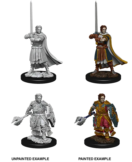 D&D Nolzurs Marvelous Unpainted Miniatures Male Human Cleric