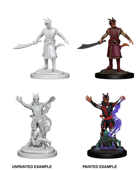 D&D Nolzurs Marvelous Unpainted Miniatures Male Tiefling Warlock