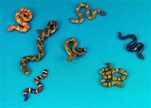 Dead Man's Hand - Snakes (7 snakes)