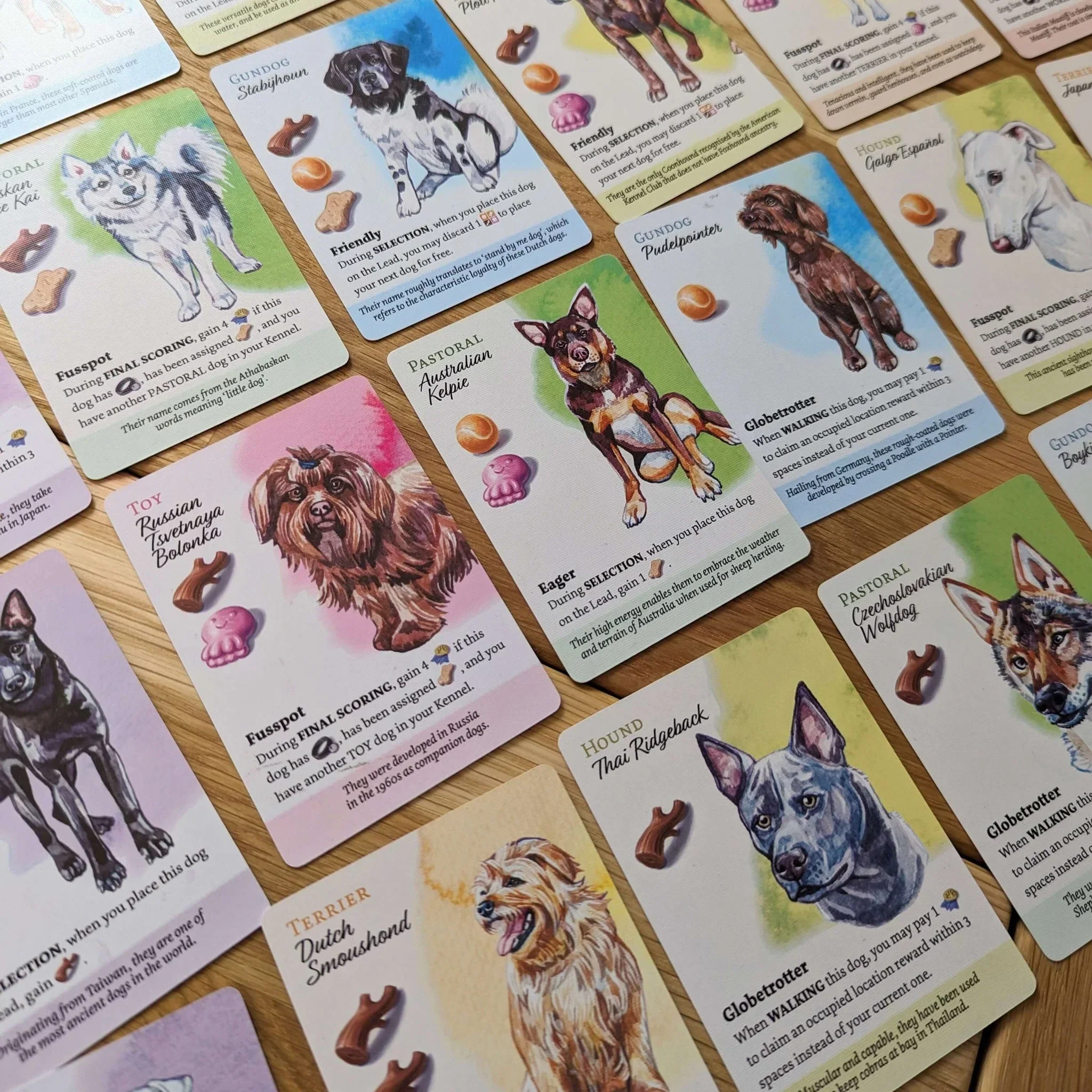 Dog Park: Dogs of the World Expansion - Image 2