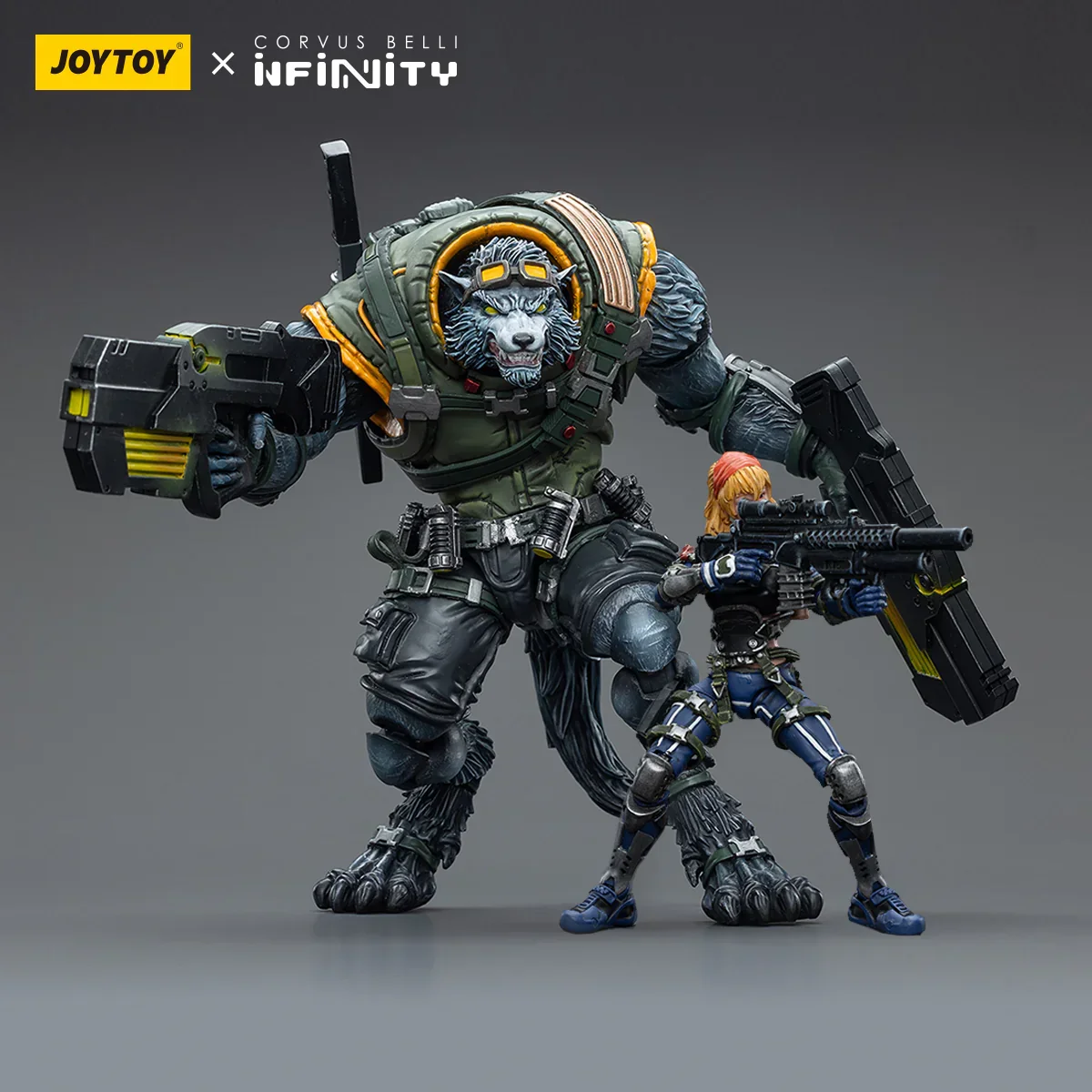 Infinity Collectibles: 1/18 Scale Ariadna Equipe Mirage-5 - Image 3