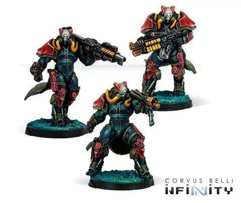 Infinity - Rodoks, Armed Imposition Detachment Combined Army