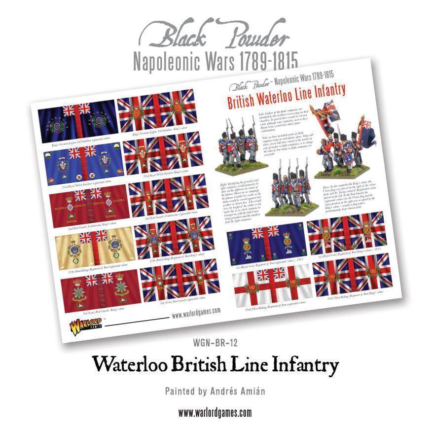 Napoleonic British Line Infantry (Waterloo campaign) - Image 4