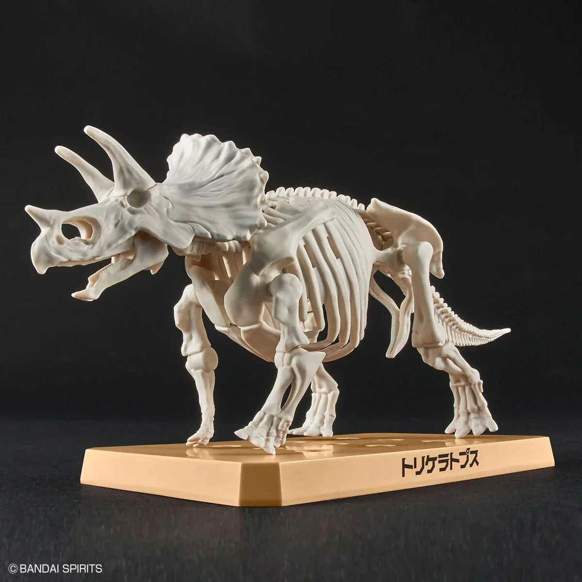 PLANNOSAURUS MODEL KIT TRICERATOPS - Image 4