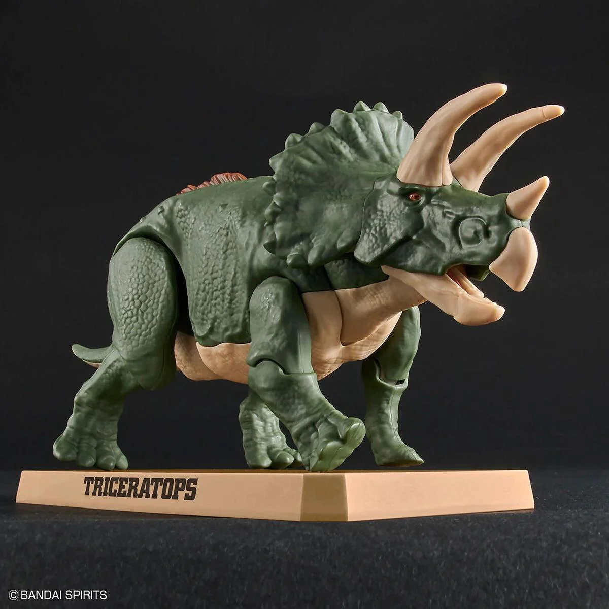 PLANNOSAURUS MODEL KIT TRICERATOPS - Image 5