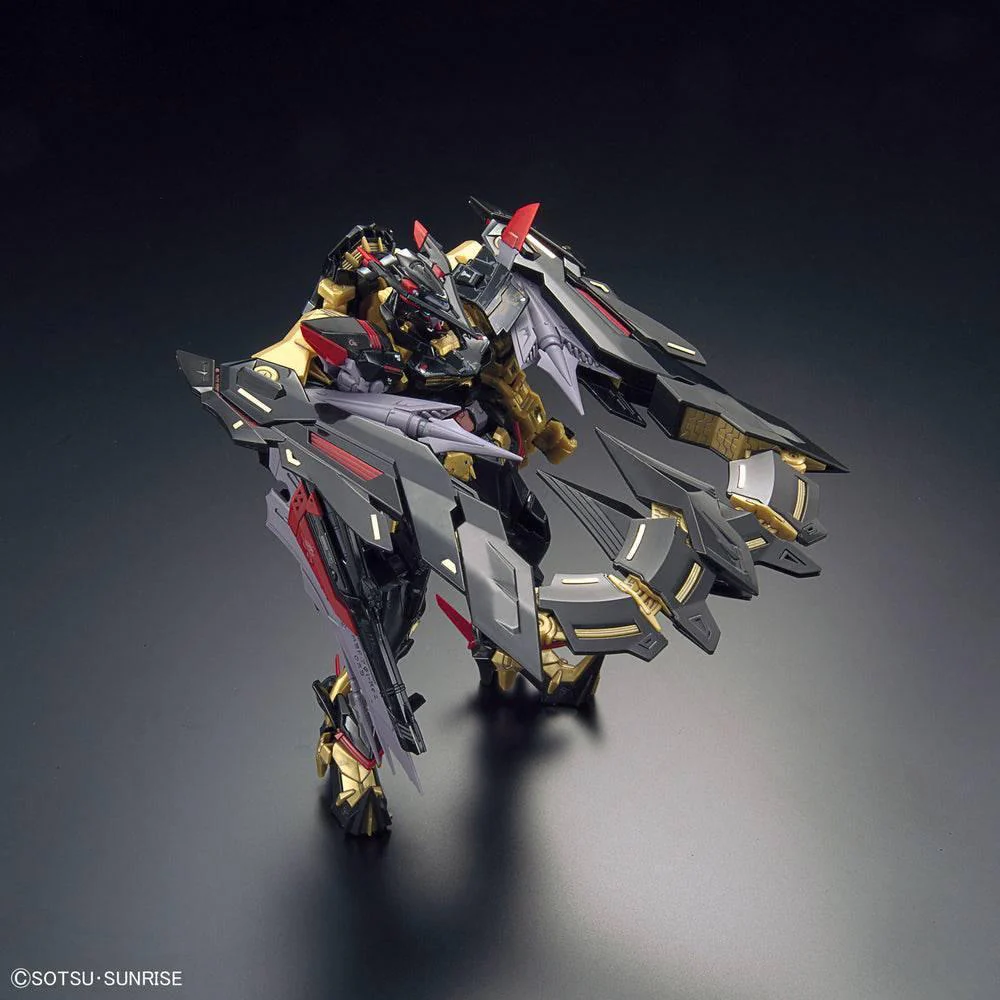RG 1/144 GUNDAM ASTRAY GOLDFRAME AMATSU MINA - Image 4
