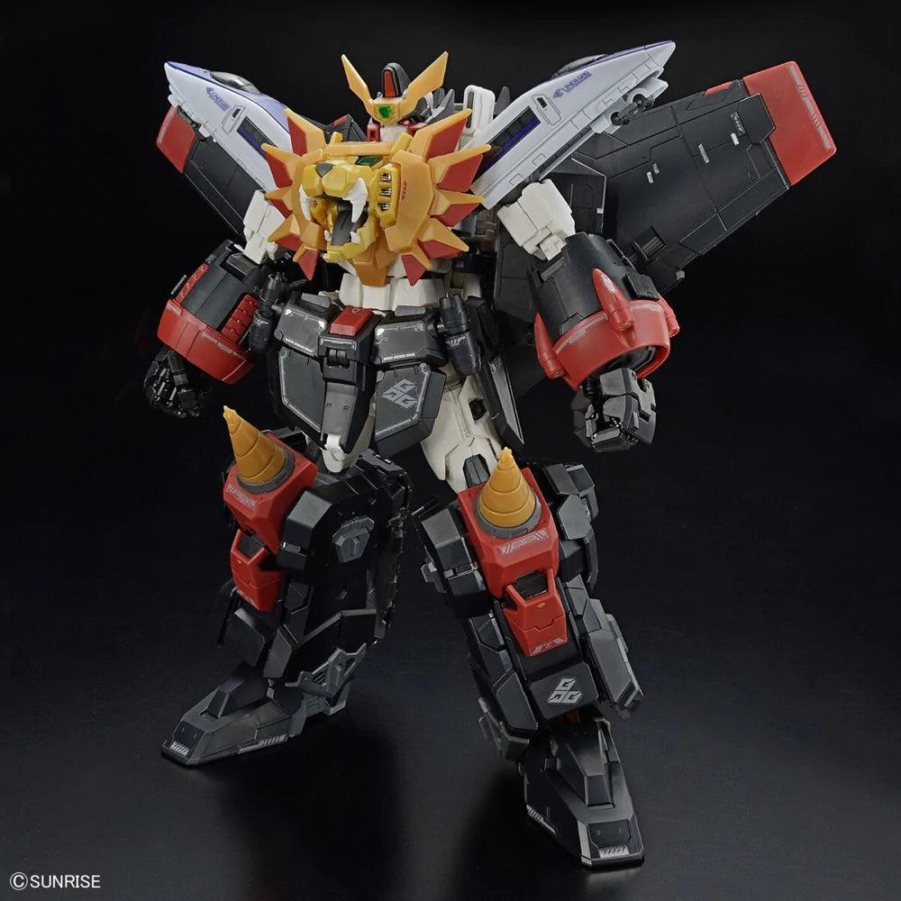 RG GAOGAIGAR - Image 3