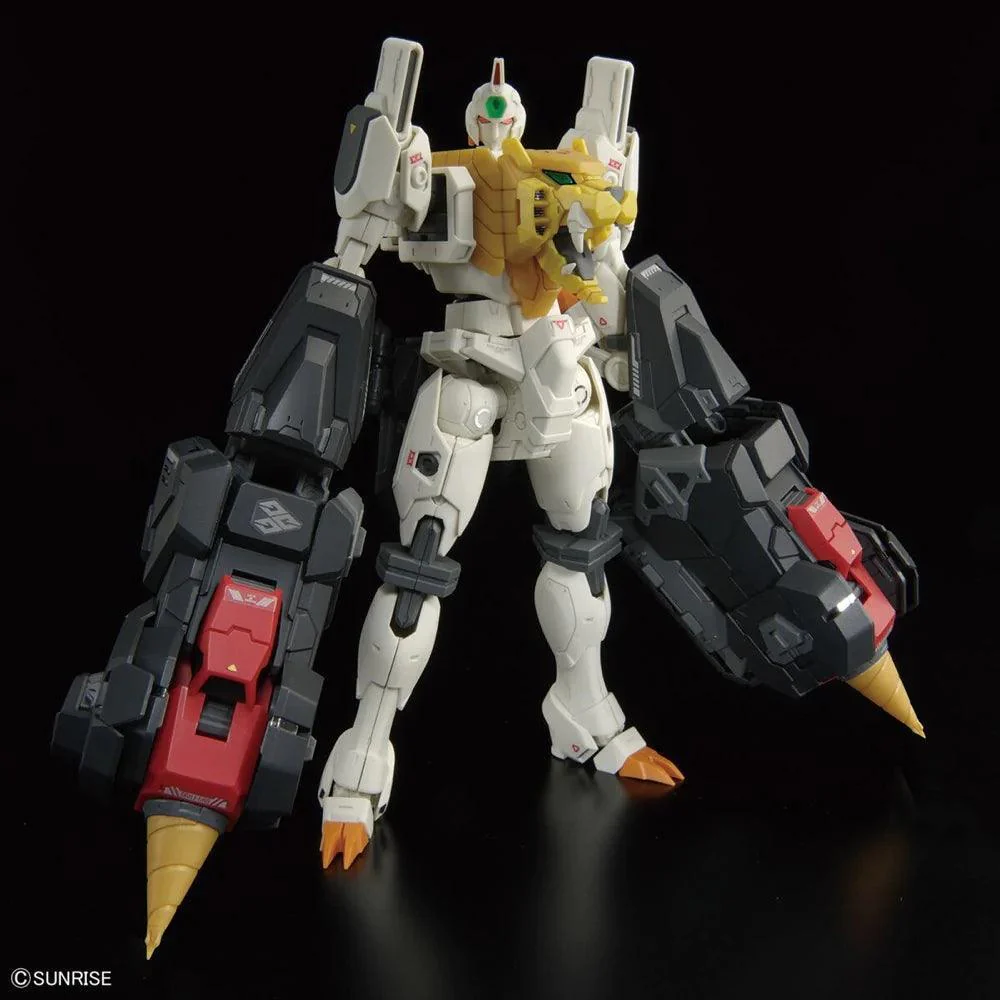RG GAOGAIGAR - Image 8