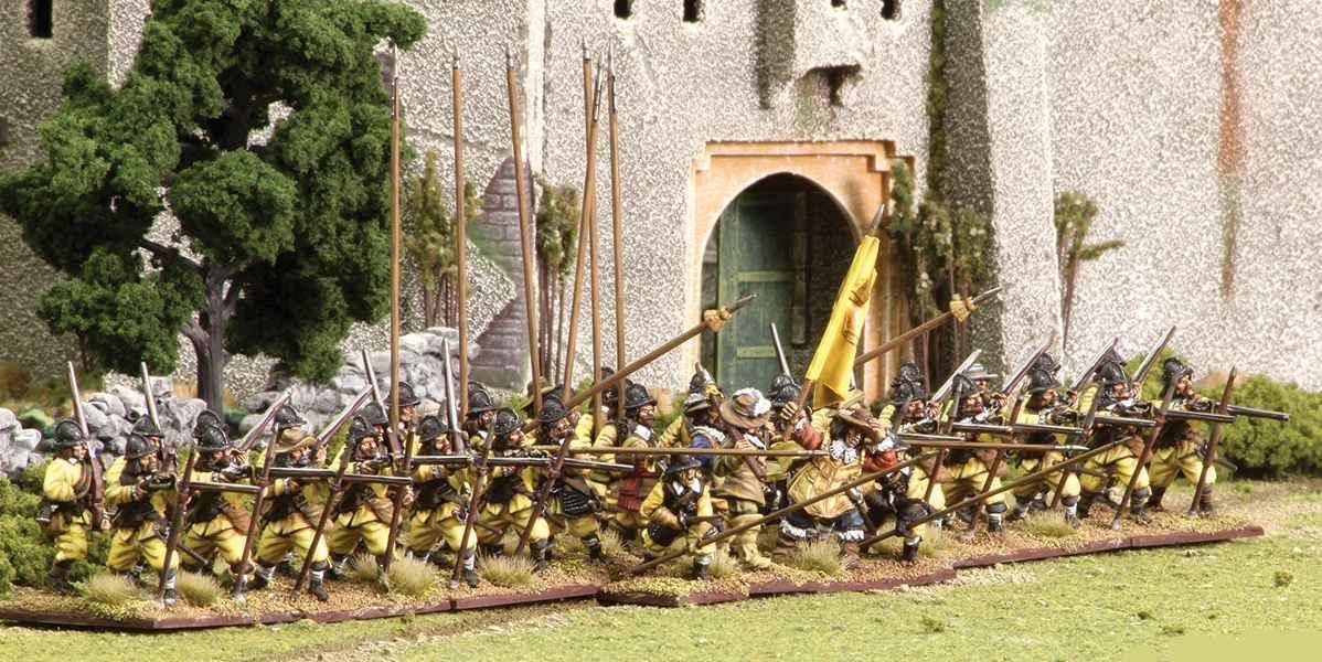 Thirty Years War Swedish Regiment - Image 2