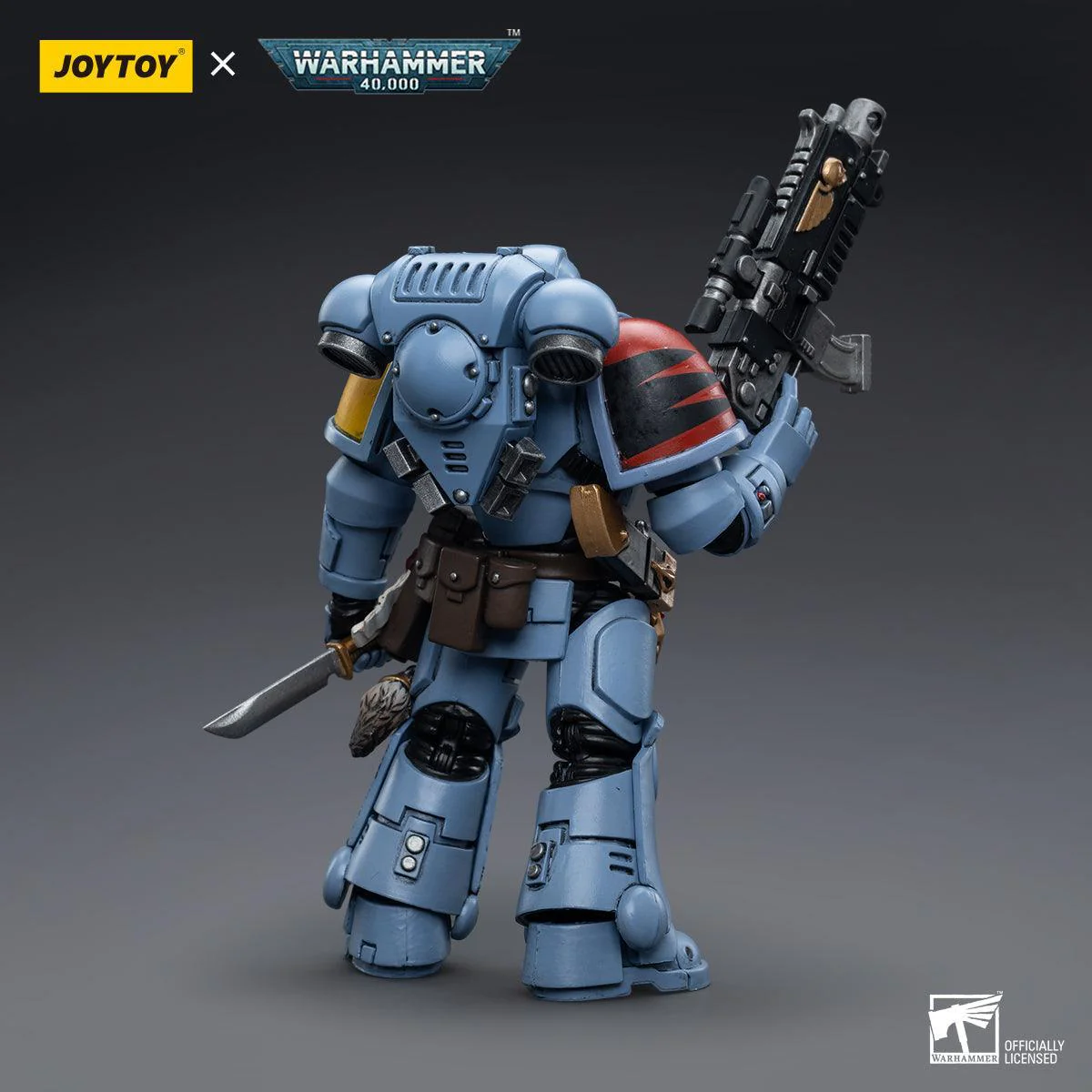 Warhammer Collectibles: 1/18 Scale Space Wolves Intercessors - Image 2