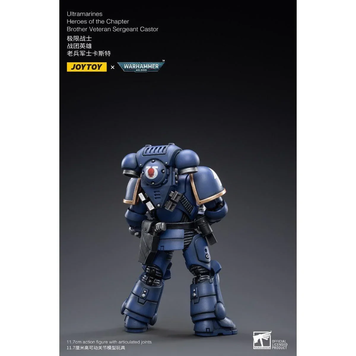Warhammer Collectibles: 1/18 Scale Ultramarines Brother Veteran Sergeant Castor - Image 4