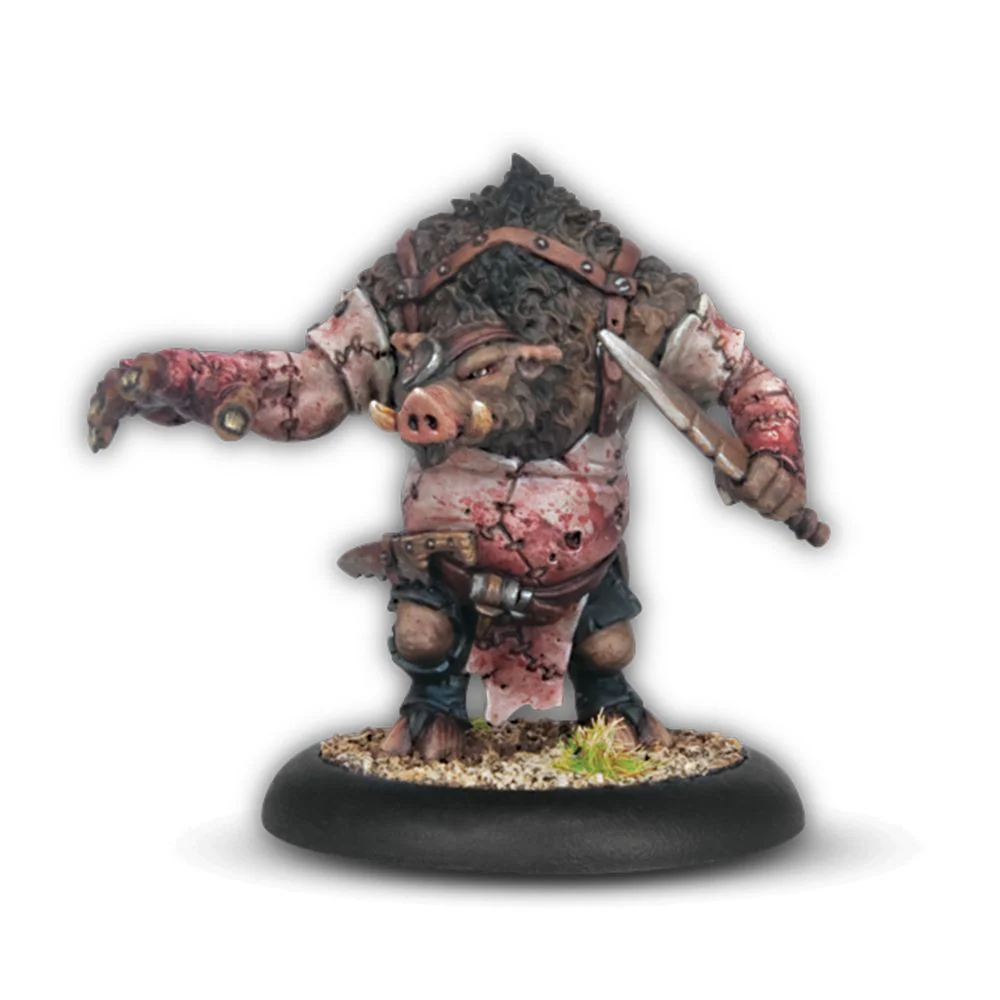 WARMACHINE: THORNFALL ALLIANCE COMMAND STARTER - Pre-Order - Image 3