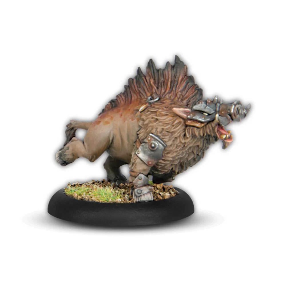 WARMACHINE: THORNFALL ALLIANCE COMMAND STARTER - Pre-Order - Image 4