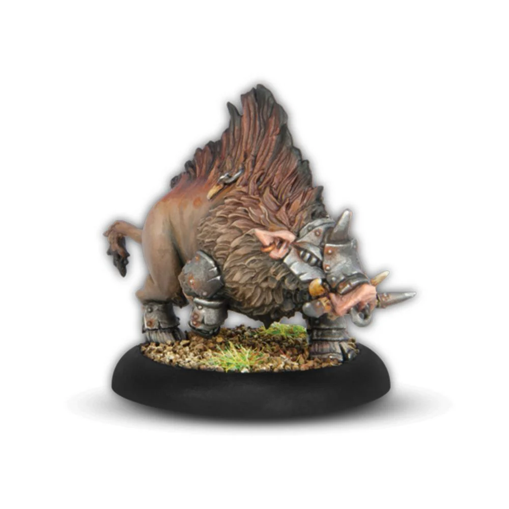 WARMACHINE: THORNFALL ALLIANCE COMMAND STARTER - Pre-Order - Image 5